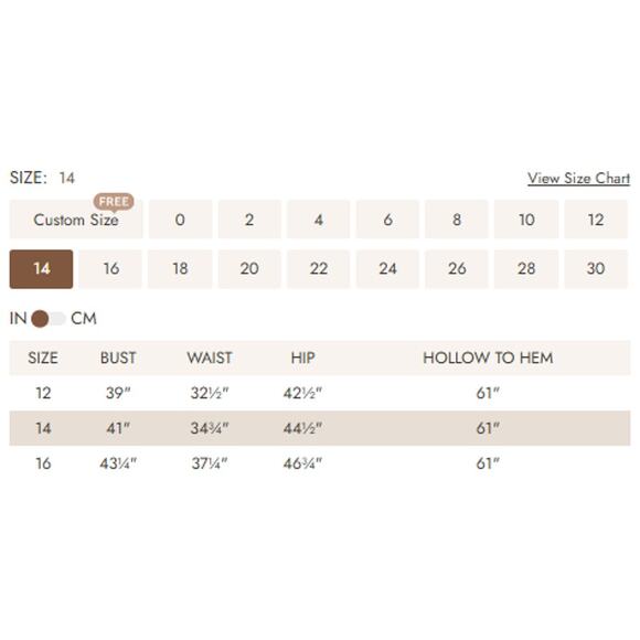 AW BRIDAL 14 1X plus champagne chiffon Aderes bridesmaid formal maxi dress 0B17 - Picture 4 of 4